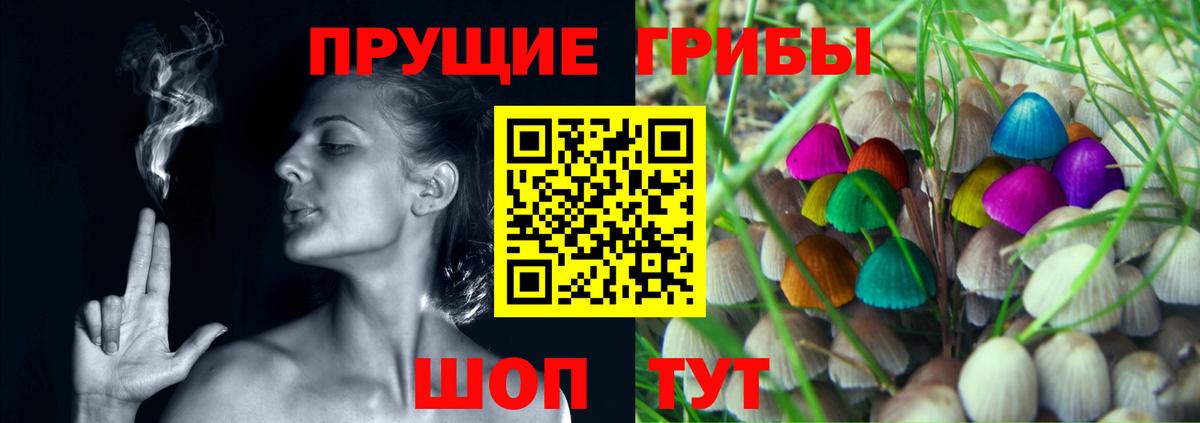 Псилоцибиновые грибы Psilocybine cubensis  Вход с VPN  Ачинск 