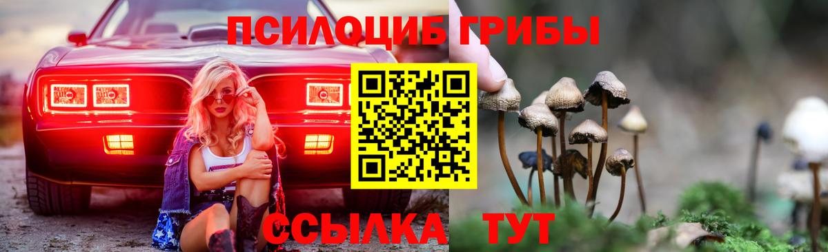 Галлюциногенные грибы Magic Shrooms Ачинск